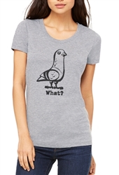 Pigeon with a New York Attitude 'WHAT?' - Womens Scoop Neck Short Sleeve